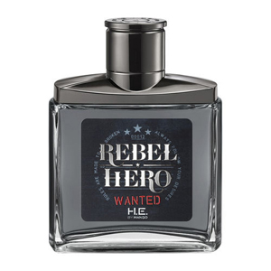 Rebel Hero Wanted