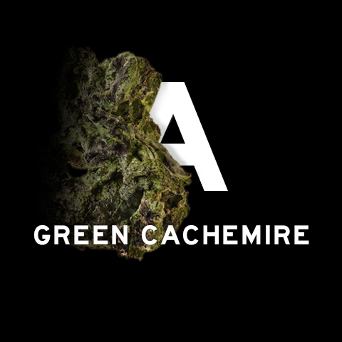 A Green Cachemire