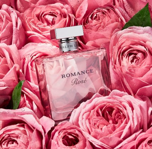 Romance Rose