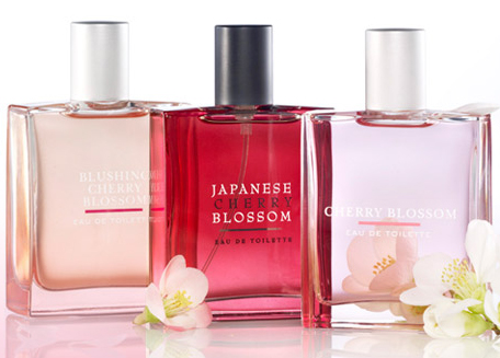 Sheer Japanese Cherry Blossom